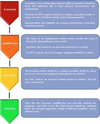 Molecular Approaches for Low-Cost Point-of-Care Pathogen Detection in Agriculture and Forestry